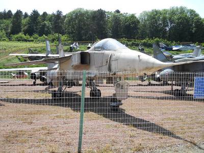 Savigny-Les-Beaunes 2011 1 : Jaguar A