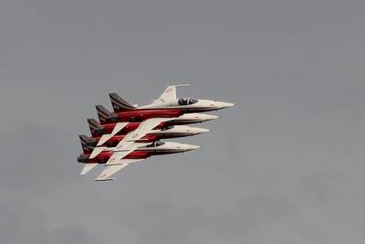 Breitling Air Show Sion 2011 1 : &quot;Patrouille Suisse&quot;  (F-5E Tiger II)