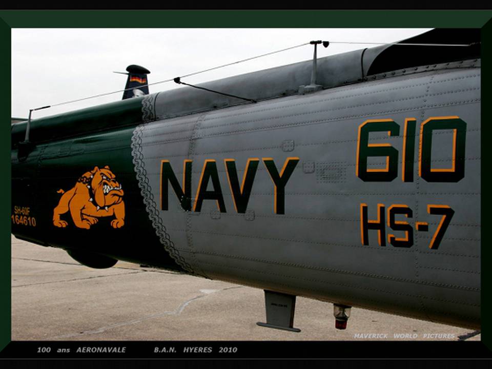 MAVERICKdu13  100 ANS AERONAVALE  B.A.N. HYERES 2010 BEWARE  OF  DOG   1  