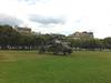 Bastille Day in Paris (France) 1 : Tiger_3.jpg