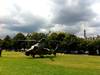 Bastille Day in Paris (France) 1 : Tiger_6.jpg