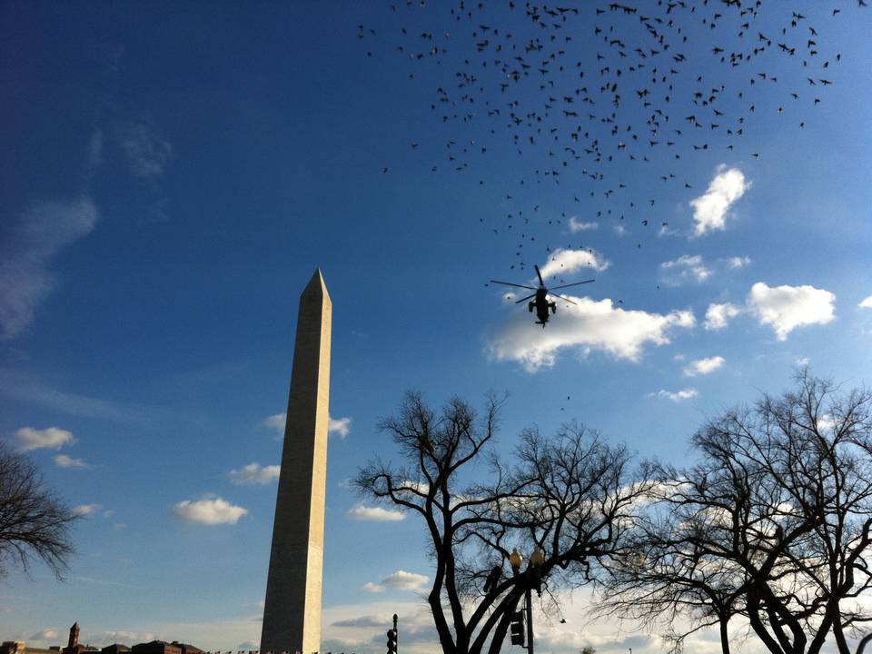 White House / US Congress - Presidential limousines - Marine One - (Washington DC, USA) 1 : VH-3D Marine One_12