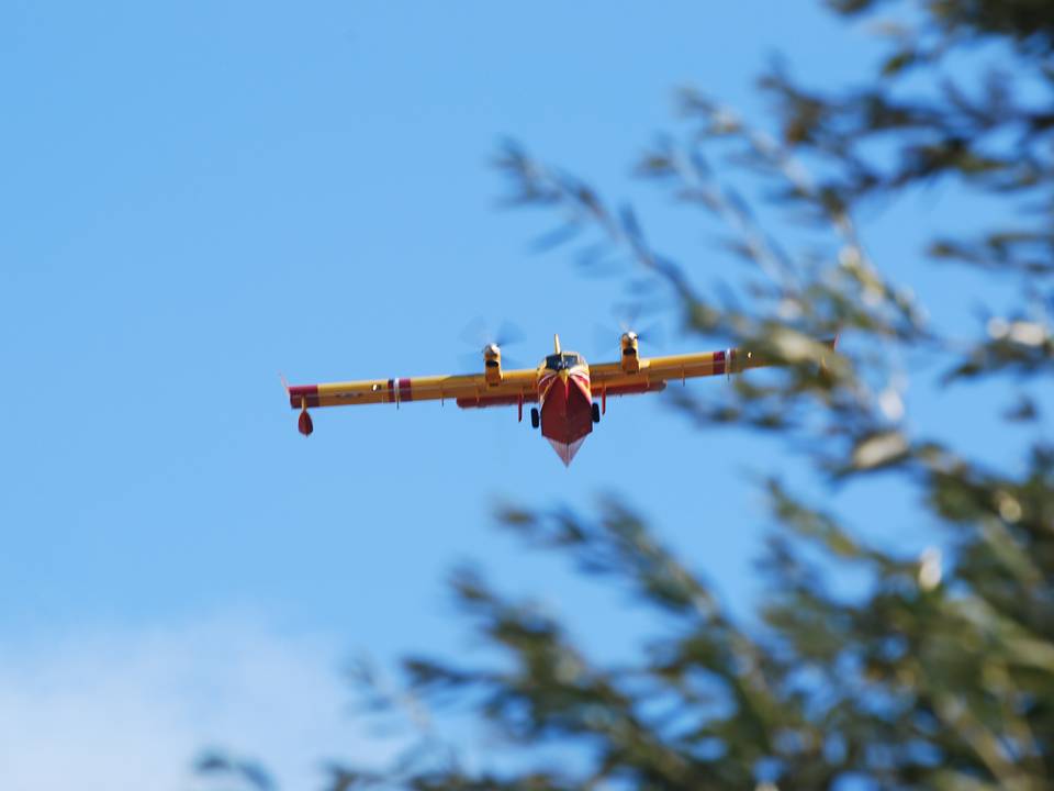 Merci aux avions de nos étés. 1 : DSC_0210
