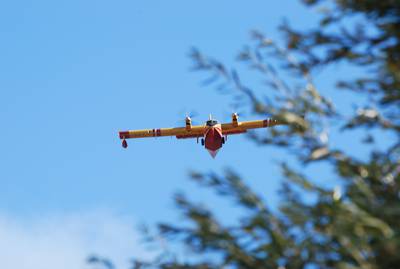 Merci aux avions de nos étés. 1 : DSC_0210