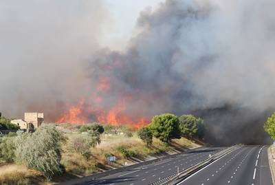 Merci aux avions de nos étés. 1 : DSC_0248
