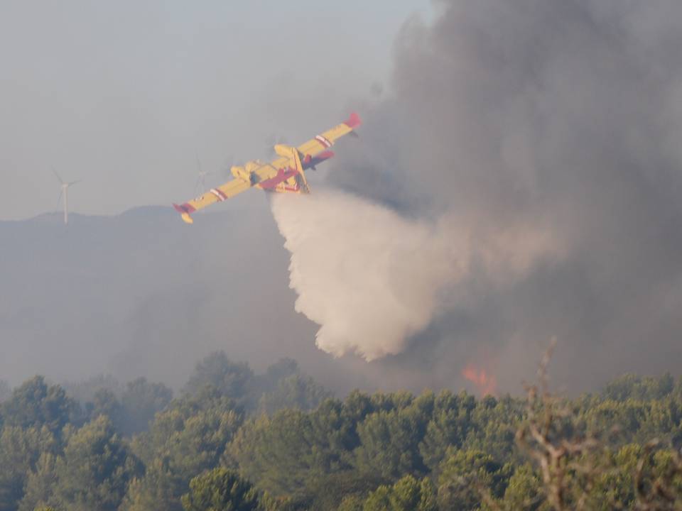 Merci aux avions de nos étés. 1 : DSC_0475