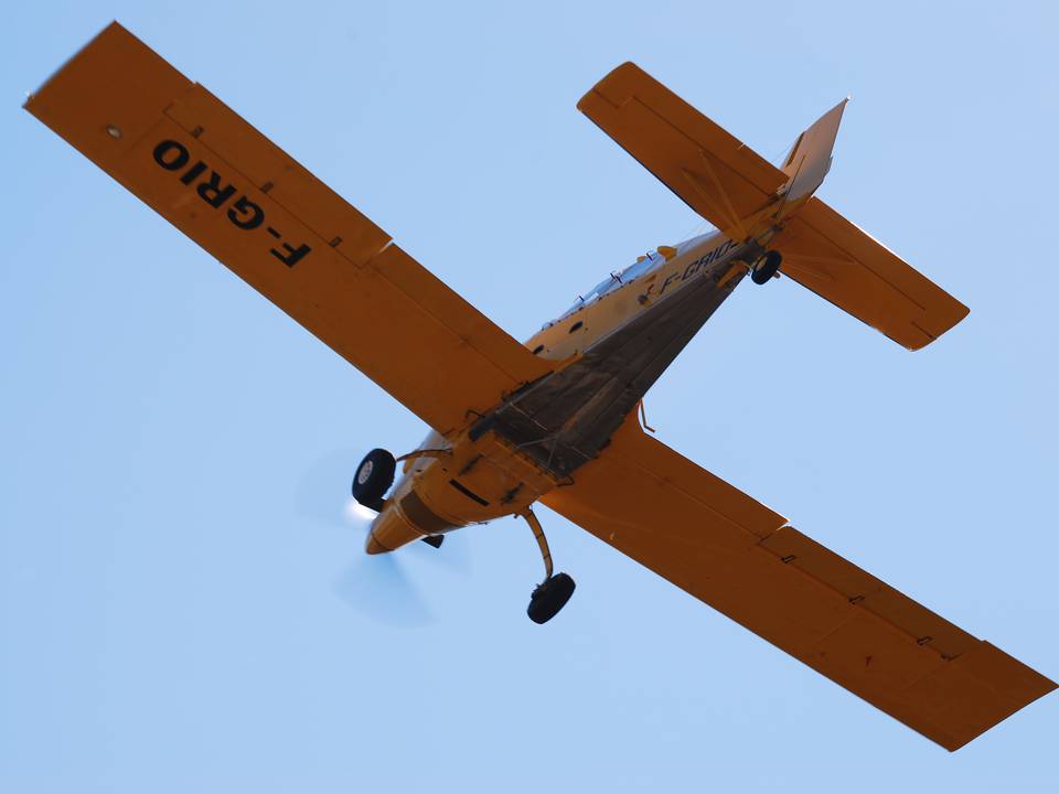 Merci aux avions de nos étés. 1 : DSC_0706