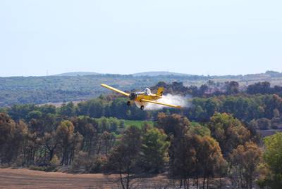 Merci aux avions de nos étés. 1 : DSC_0726 1
