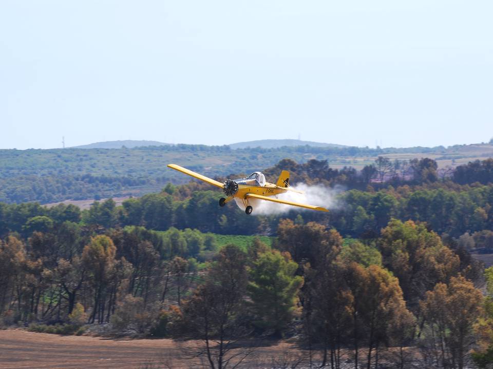 Merci aux avions de nos étés. 1 : DSC_0726