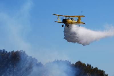 Merci aux avions de nos étés. 1 : DSC_0734