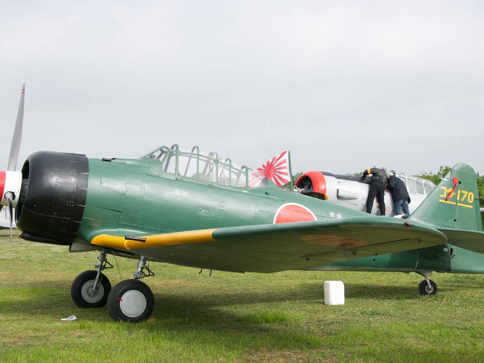 Ferté-Alais 2013 1 : DSC_0073.jpg