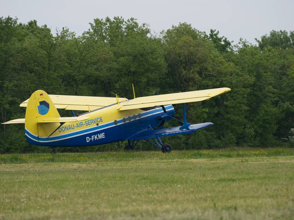 Ferté-Alais 2013 1 : DSC_0304.jpg