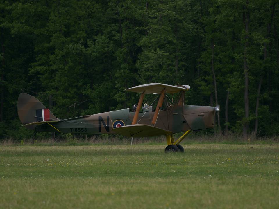 Ferté-Alais 2013 1 : DSC_0308.jpg