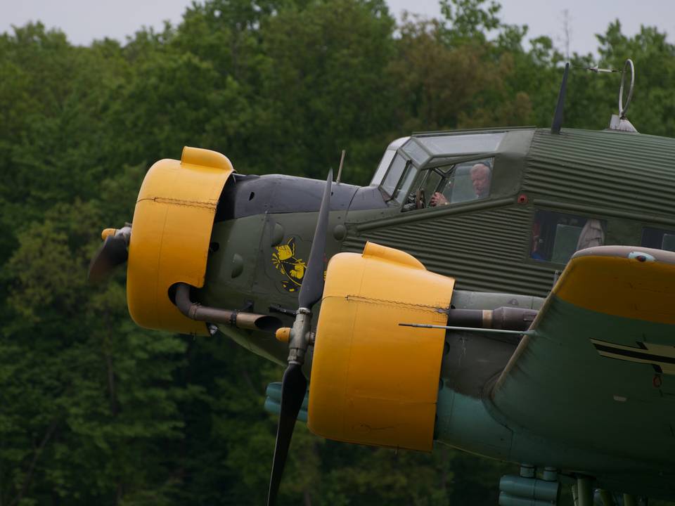 Ferté-Alais 2013 1 : DSC_0337.jpg