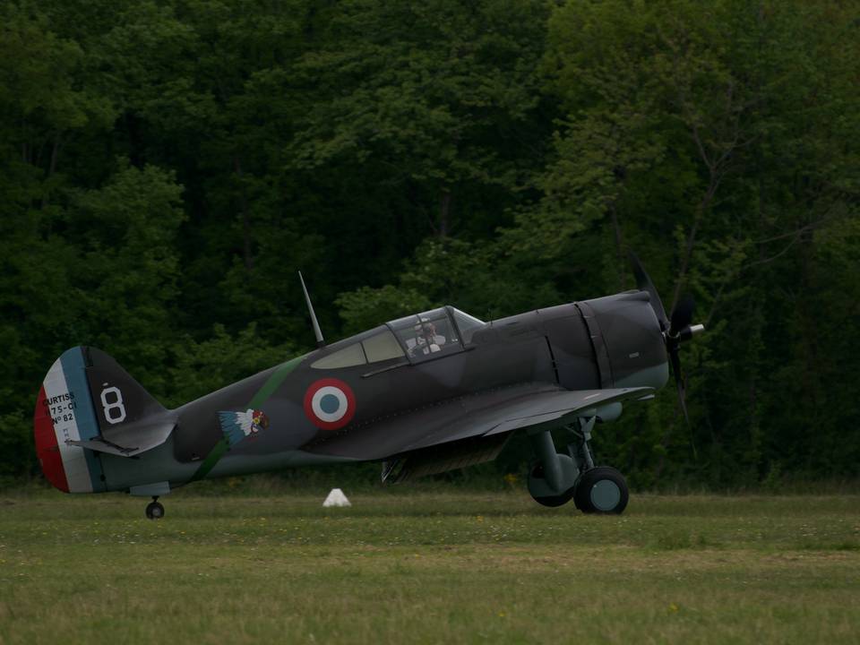 Ferté-Alais 2013 1 : DSC_0413.jpg