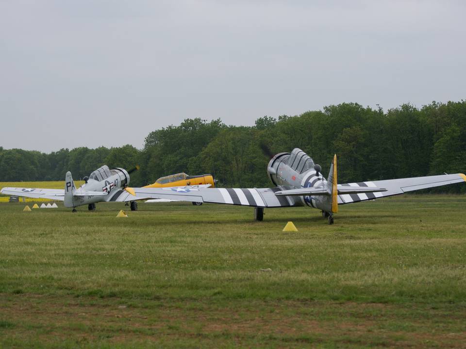 Ferté-Alais 2013 1 : DSC_0480.jpg