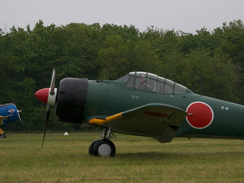 Ferté-Alais 2013 1 : DSC_0483.jpg