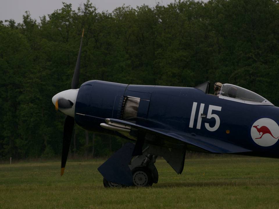 Ferté-Alais 2013 1 : DSC_0550.jpg