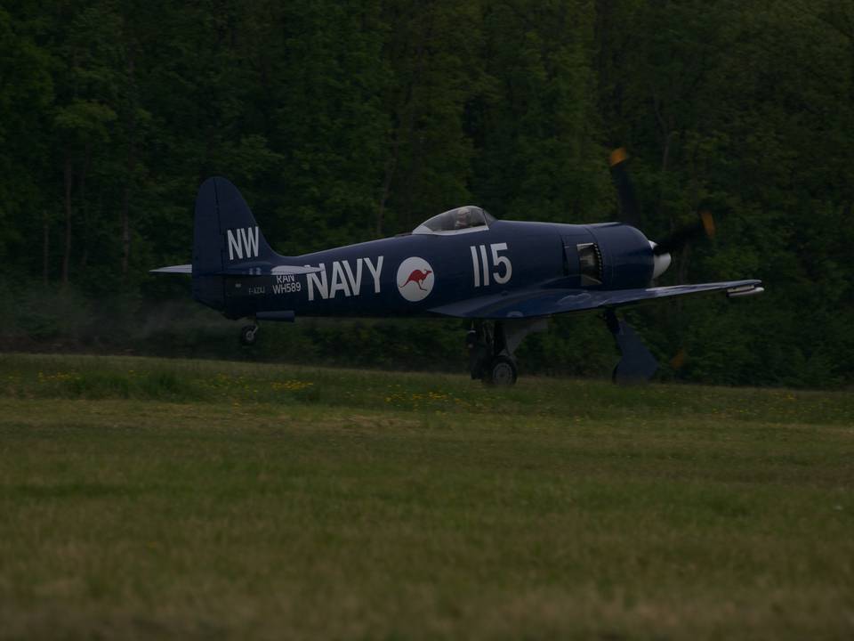 Ferté-Alais 2013 1 : DSC_0552.jpg