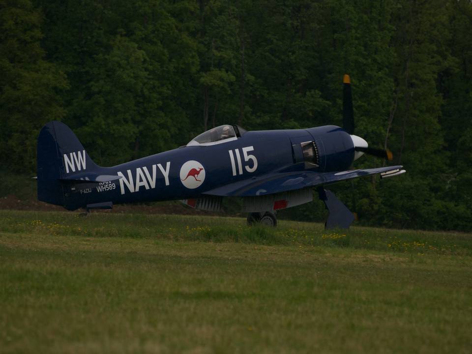 Ferté-Alais 2013 1 : DSC_0576.jpg