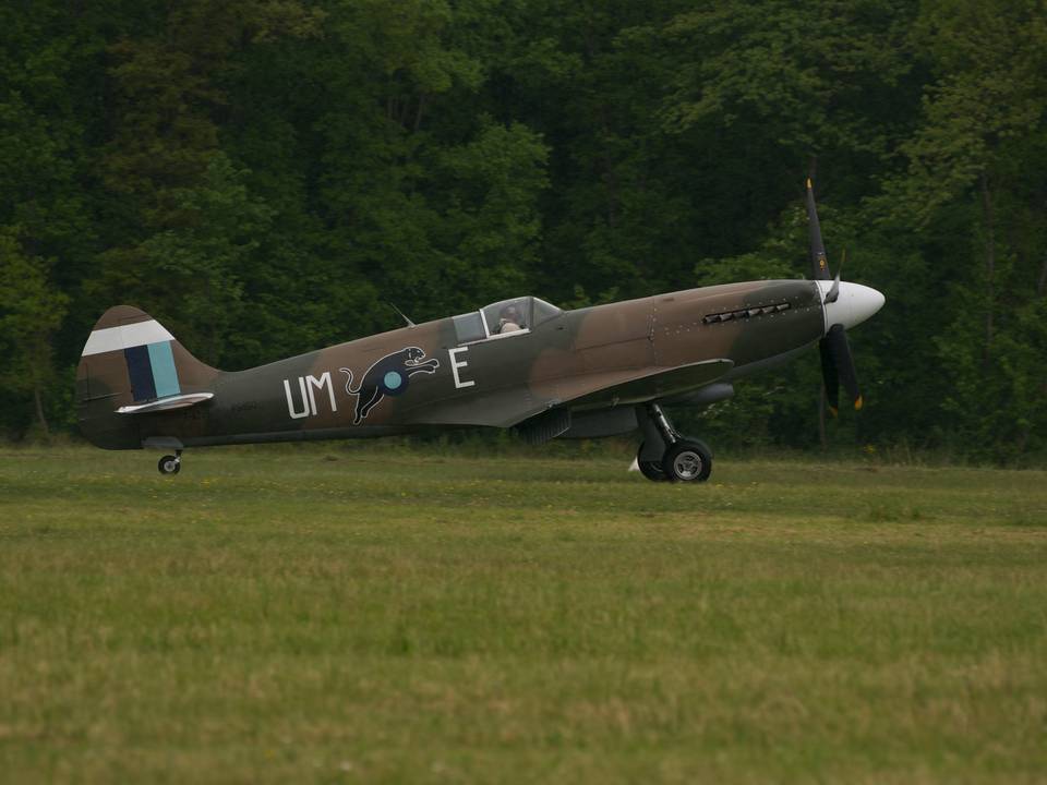 Ferté-Alais 2013 1 : DSC_0592.jpg