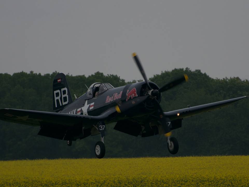 Ferté-Alais 2013 1 : DSC_0654.jpg