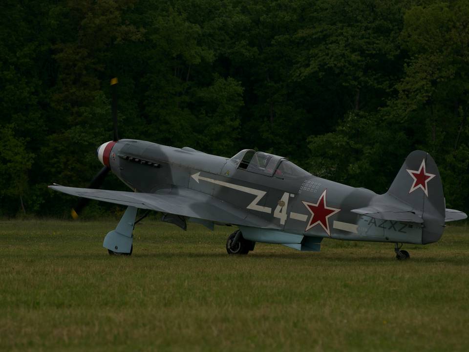 Ferté-Alais 2013 1 : DSC_0660.jpg