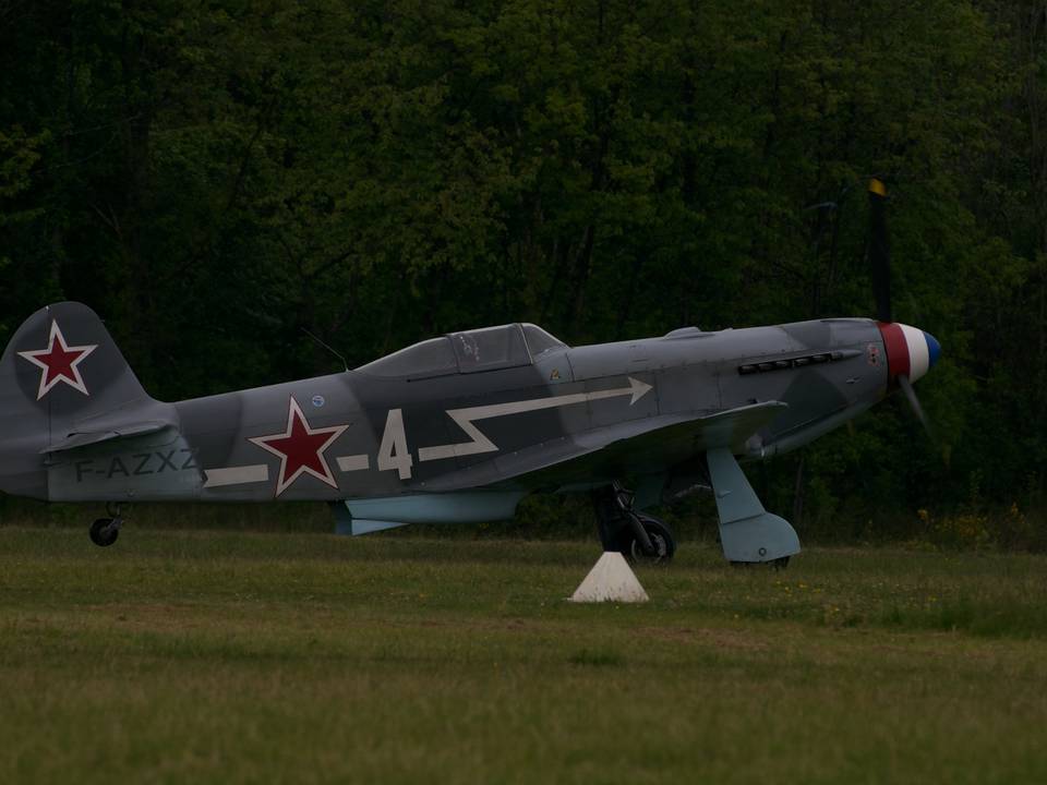 Ferté-Alais 2013 1 : DSC_0664.jpg