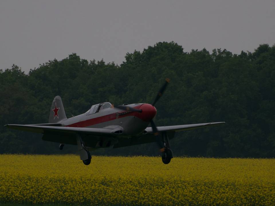 Ferté-Alais 2013 1 : DSC_0676.jpg