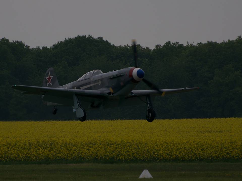 Ferté-Alais 2013 1 : DSC_0679.jpg