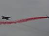 Ferté-Alais 2013 1 : DSC_0705.jpg