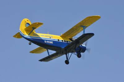 Ferté-Alais 2010 1 : DSC_0015