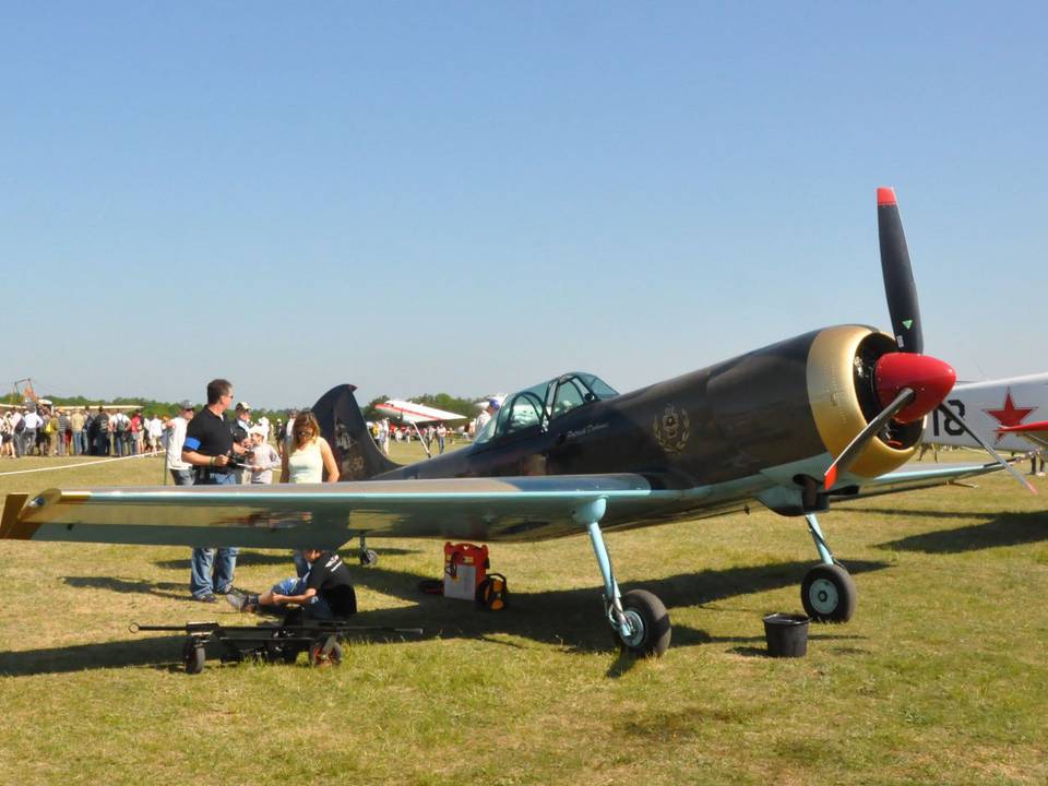 Ferté-Alais 2010 1 : DSC_0094