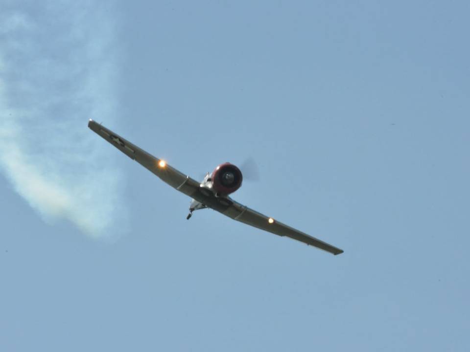 Ferté-Alais 2010 1 : DSC_0939