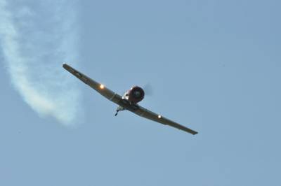 Ferté-Alais 2010 1 : DSC_0939