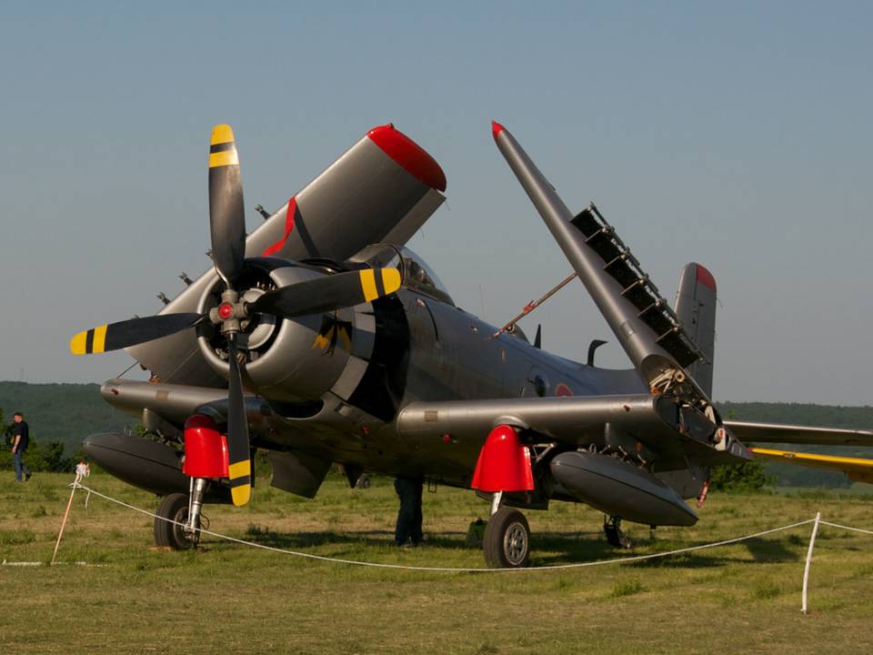 Ferté-Alais 2012 1 : DSC_0070