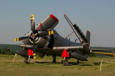 Ferté-Alais 2012 1 : DSC_0070