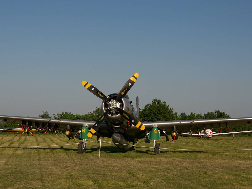 Ferté-Alais 2012 1 : DSC_0072