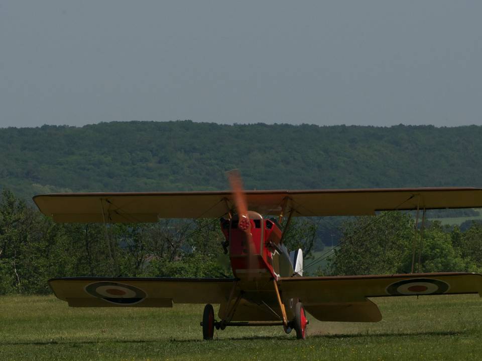 Ferté-Alais 2012 1 : DSC_0331