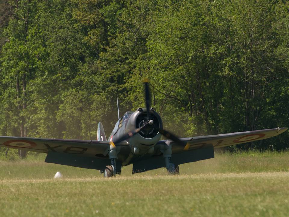 Ferté-Alais 2012 1 : DSC_0452