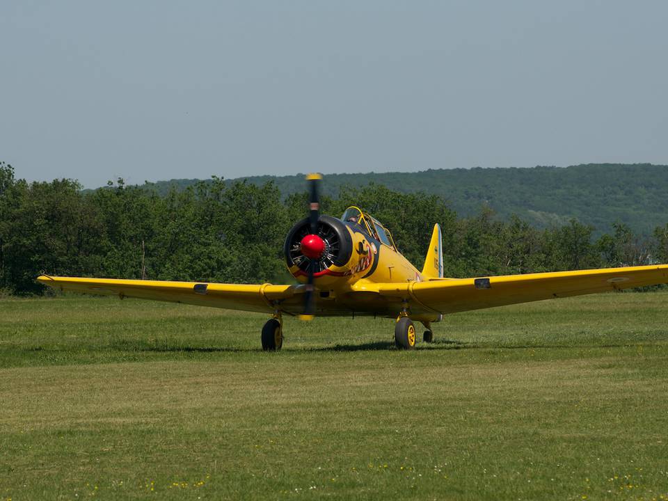 Ferté-Alais 2012 1 : DSC_0465