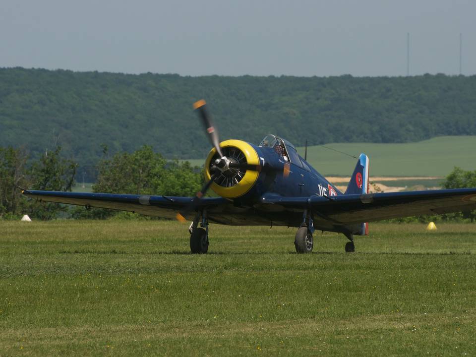 Ferté-Alais 2012 1 : DSC_0469