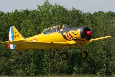 Ferté-Alais 2012 1 : DSC_0493