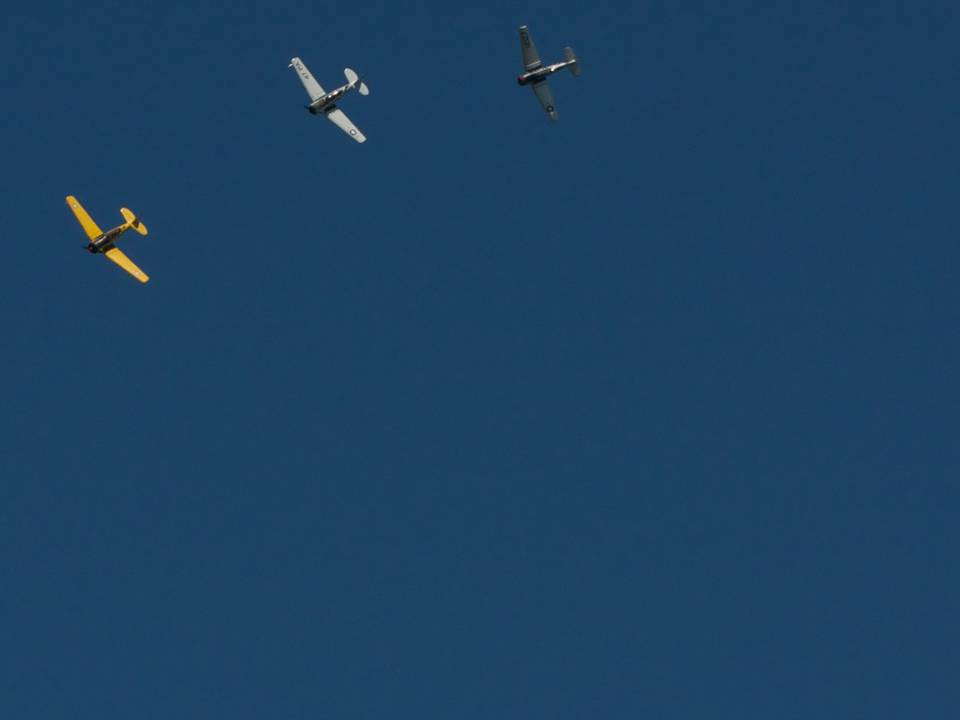 Ferté-Alais 2012 1 : DSC_0509