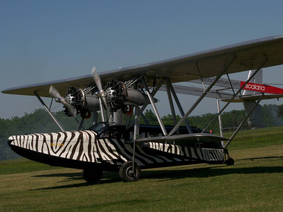 Ferté-Alais 2012 1 : DSC_0549