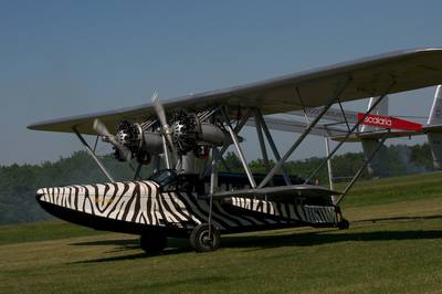 Ferté-Alais 2012 1 : DSC_0549