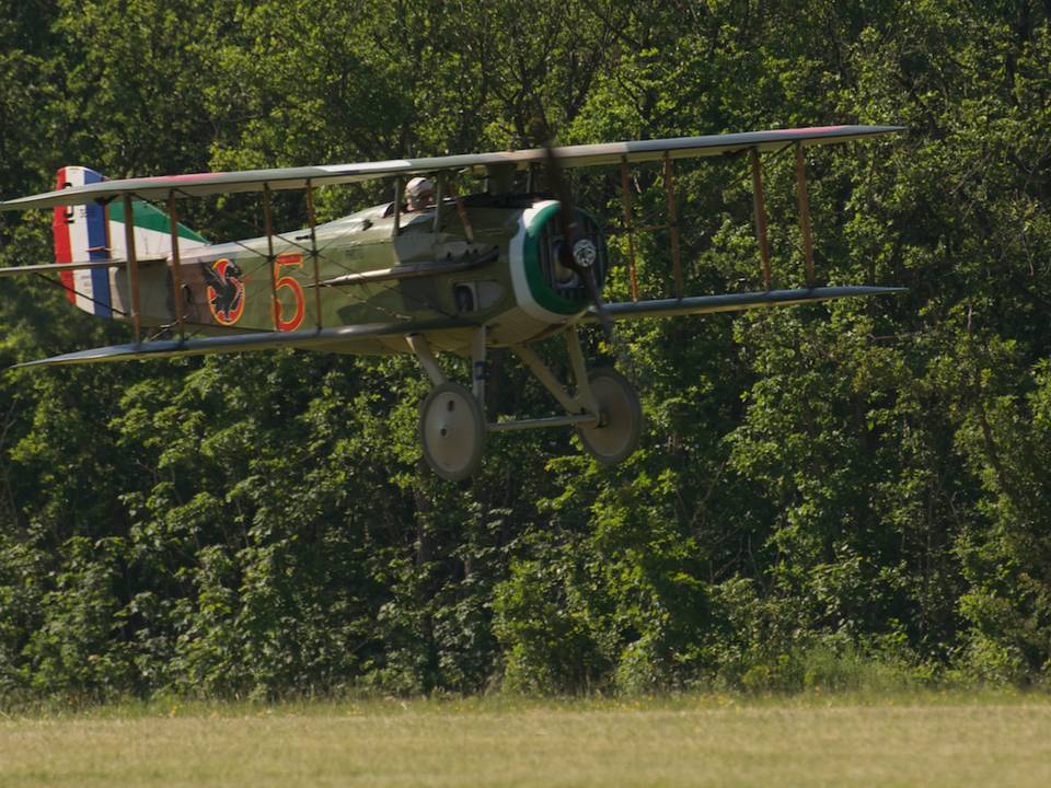 Ferté-Alais 2012 1 : DSC_0739