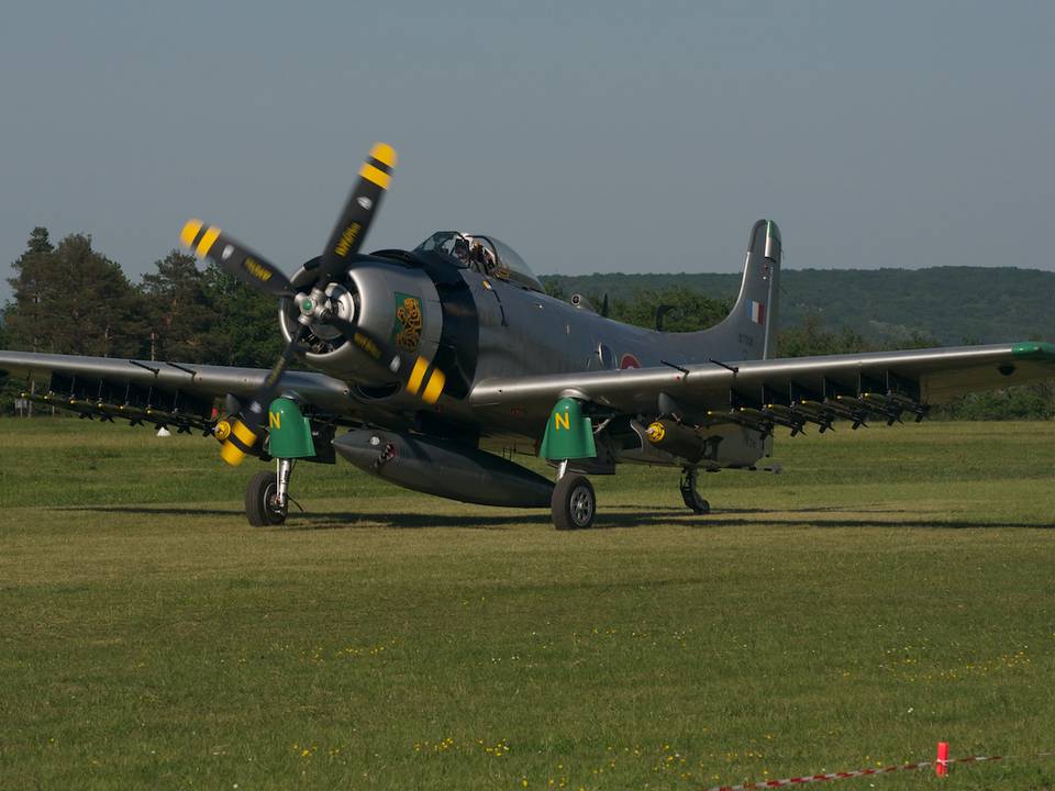 Ferté-Alais 2012 1 : DSC_0890