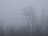 christophe _DSC0612