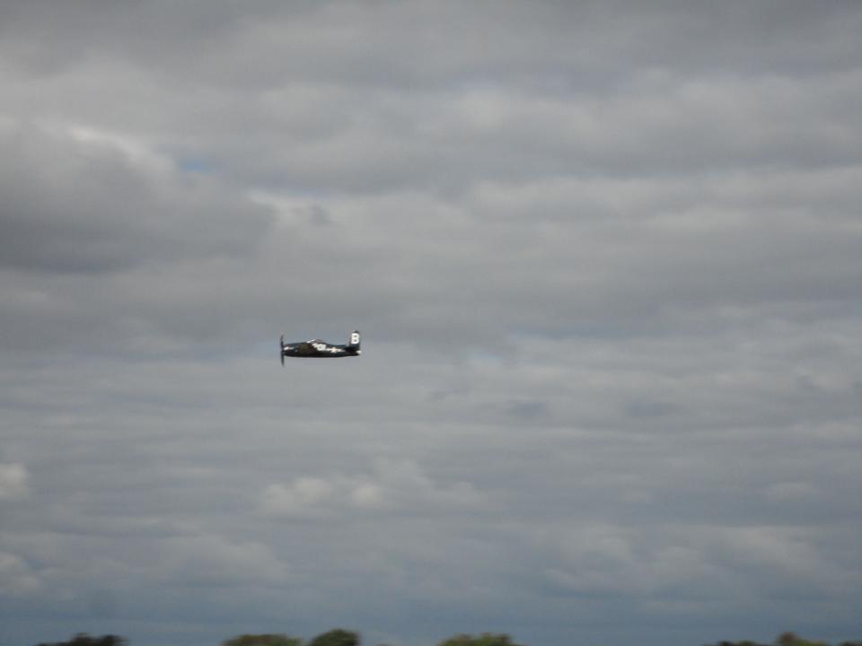 Meeting Rennes 2010 1 : Bearcat (3)